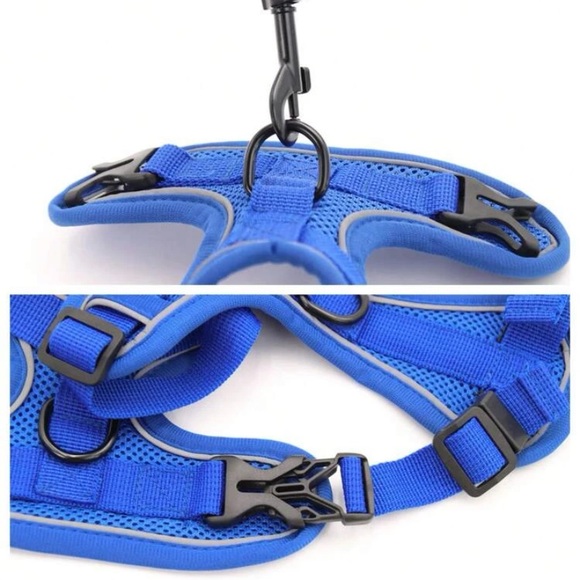 Dog harness and leash - Picture 6 of 6